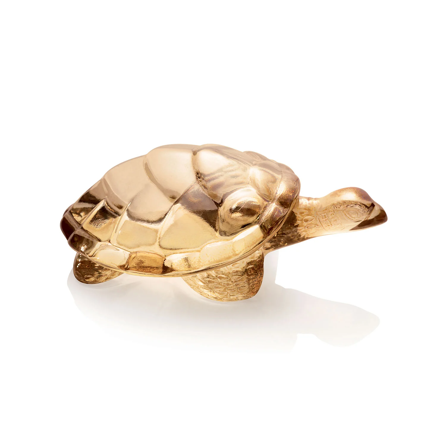 Gold Lustre Crystal Caroline Turtle Sculpture