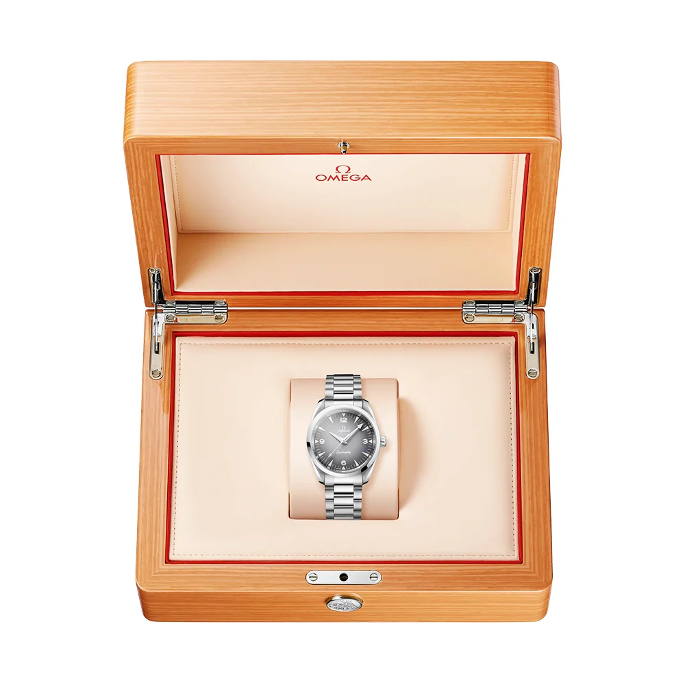 Seamaster Railmaster 38mm Grey Gradient Dial Bracelet Watch - Image 2